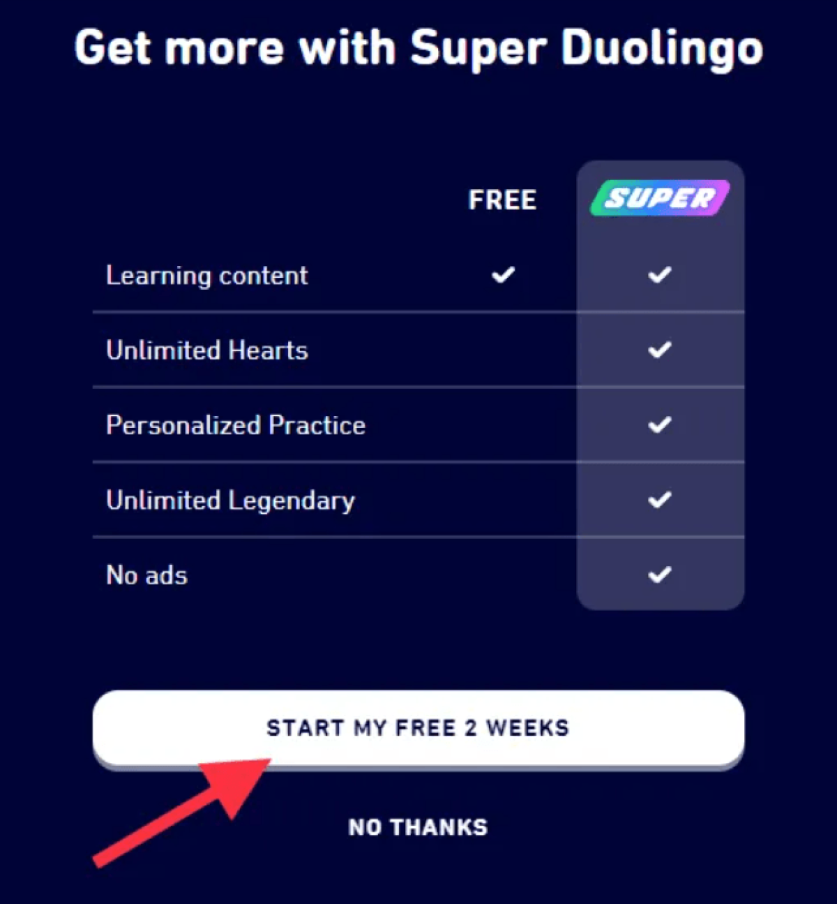 duolingo subscription worth it