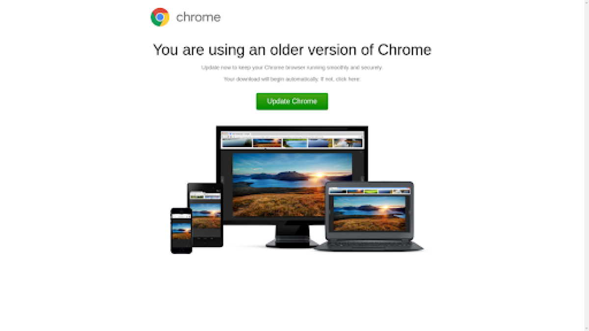 Fake Chrome update