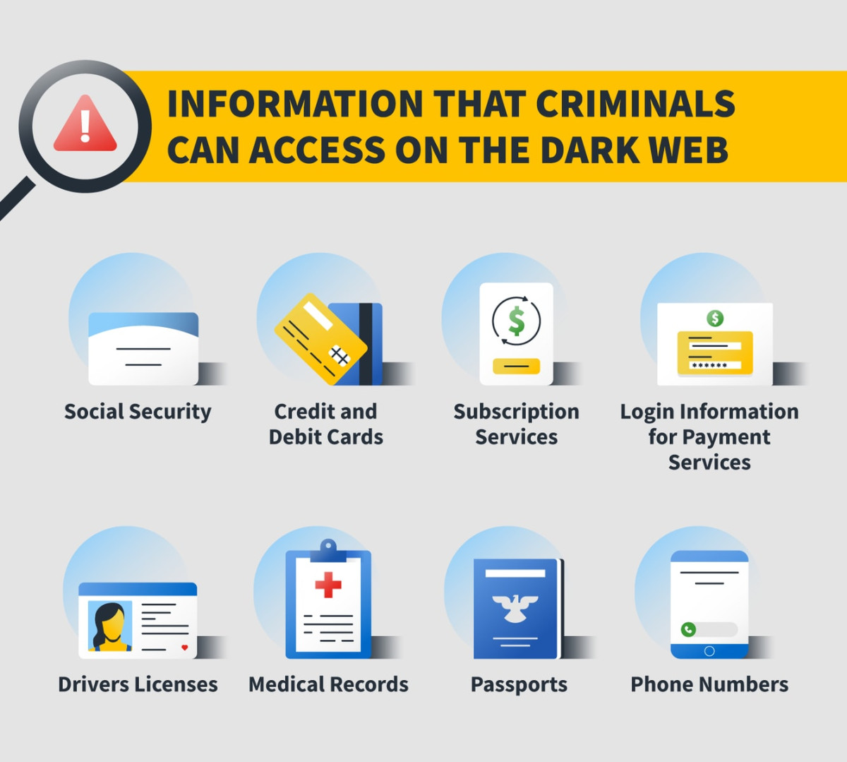 Information that could be accessed on the dark web