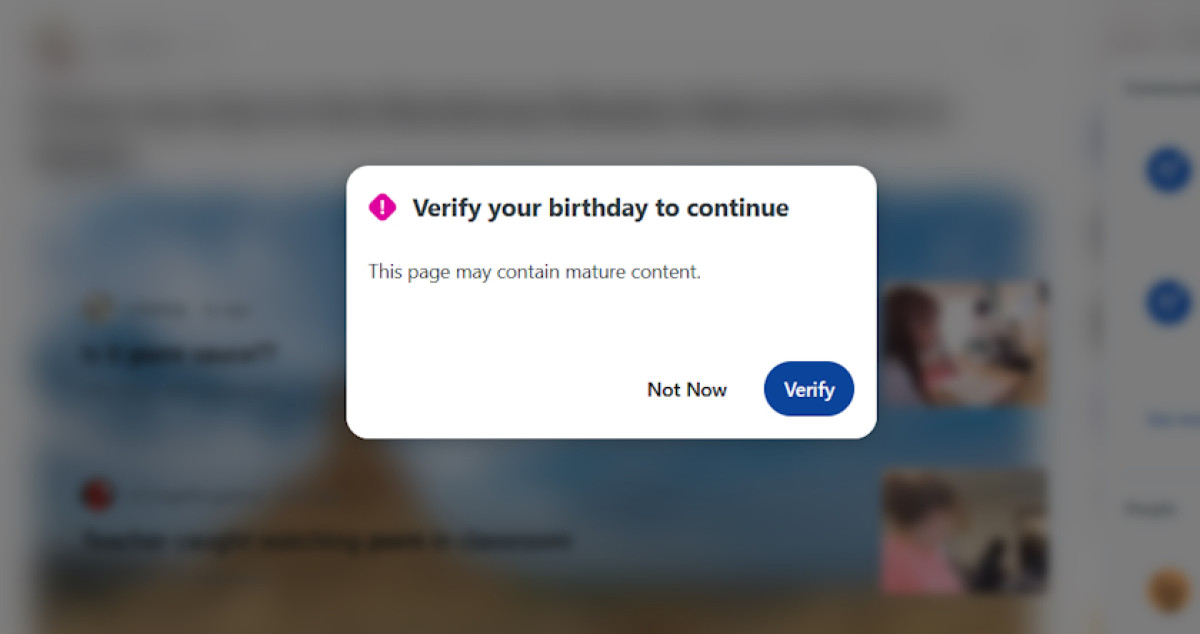 Reddit age verification message