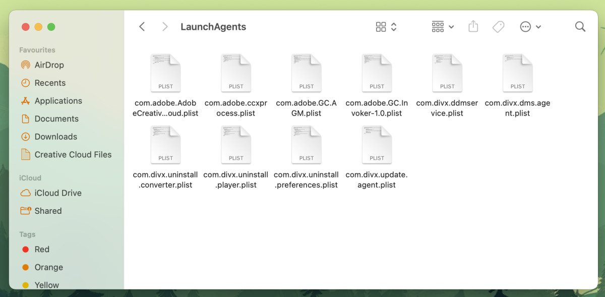 Searching for suspicious files in the launchagents flder