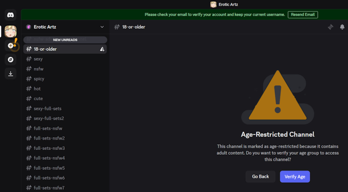 Discord age verification message