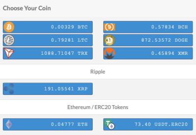Buying Surfshark VPN with crypto via coinpayments