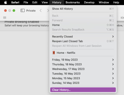Deleting history on Safari