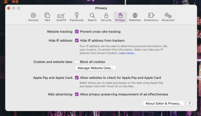Managing website data on Safari