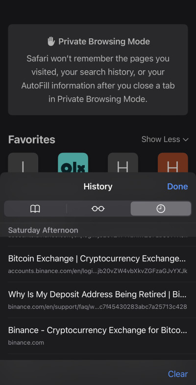 Safari browser history on the iPhone