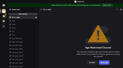 Discord age verification message