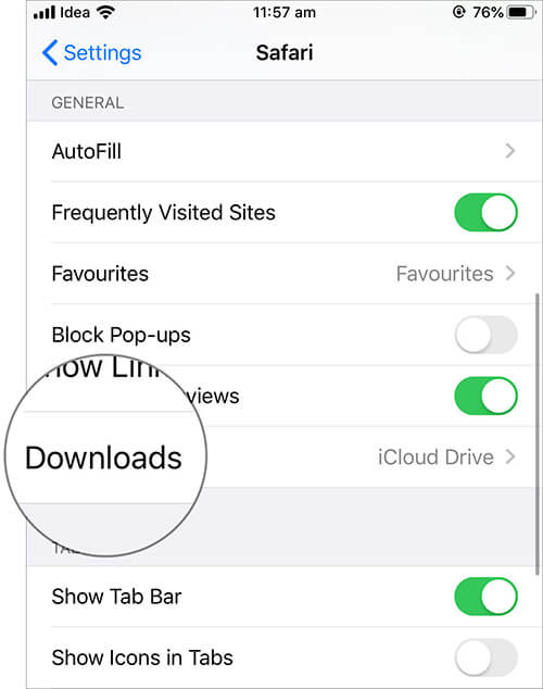 iOS 13 Safari Download 2